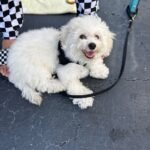 WhatsApp Image 2026-01-24 at 1.14.22 PM