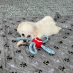 WhatsApp Image 2026-01-24 at 1.14.35 PM