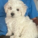 WhatsApp Image 2026-01-24 at 1.14.45 PM