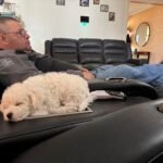 WhatsApp Image 2026-01-24 at 1.15.51 PM