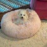 WhatsApp Image 2026-01-24 at 12.54.42 PM