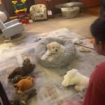 WhatsApp Image 2026-01-24 at 12.55.13 PM